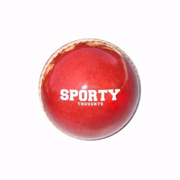Picture of Cricket Ball
