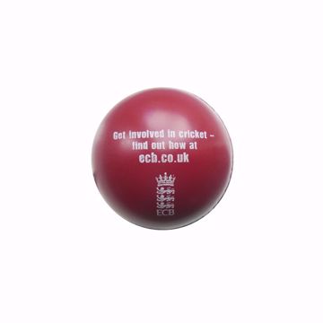 Picture of Stress Cricket Ball