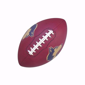 Picture of Full Size American Football