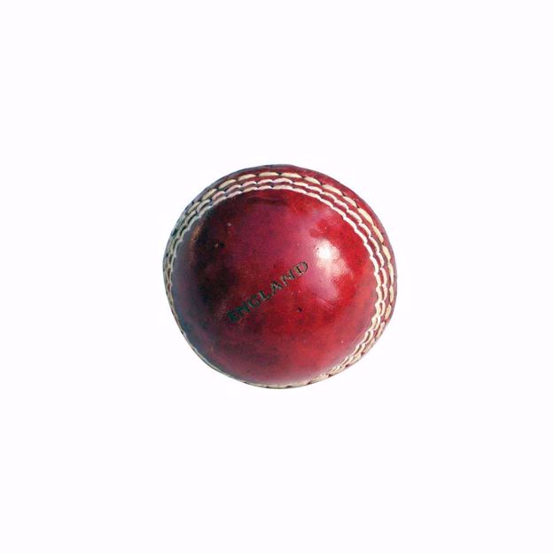 Picture of Mini Cricket Ball