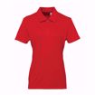 Women's panelled polo