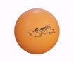 Picture of Orange Ping Pong Table Tennis Ball