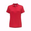   Women's Micro Hex polo