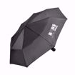 19.5" Mini umbrella 