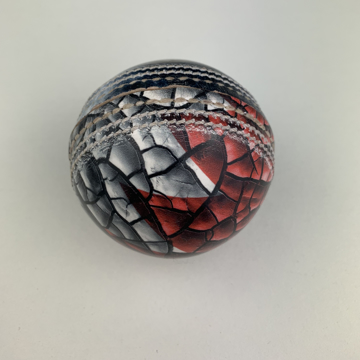 Picture of Promotional Leather Cricket Ball Printed Full Colour